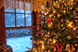 Christmas tree and window