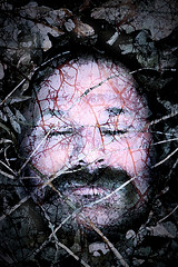 Ollie Dead in Leaves